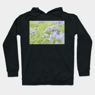 Purple Springtime Violets and Green Grass Hoodie